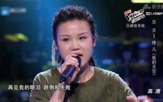 中国好声音我的天空