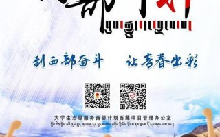 西部计划通过率高吗