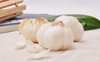 百合的功效与作用及食用 *** 