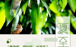 夏至过后一天比一天短几分钟