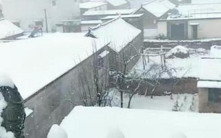 河南下雪了吗2020今天