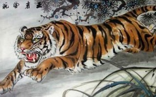 跋山涉水是什么生肖