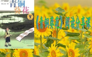 青铜葵花很黄的片段