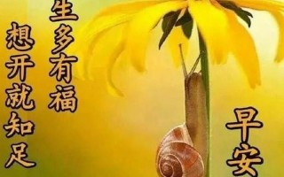 回头语小姑下一句