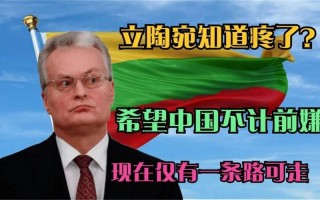 立陶宛为什么敌视中国