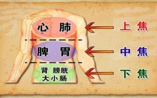 三交是身体哪个部位