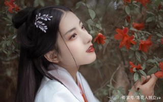 田柱刘金凤小说第二章