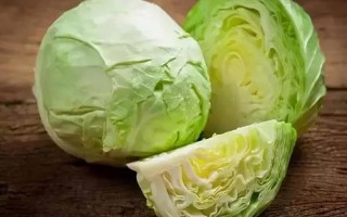 什么蔬菜是碱性的