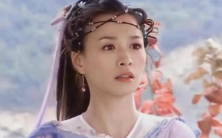 张庭演过的电视剧