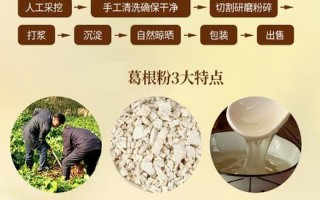 葛根粉是什么东西