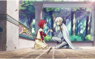 二硫碘化钾是什么意思 *** 用语