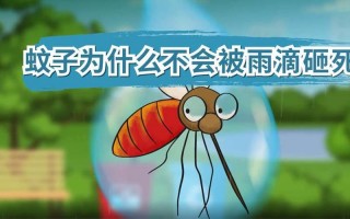 下雨天为什么蚊子不会被雨滴砸死