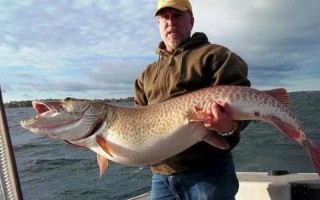 世界十大最凶猛淡水鱼