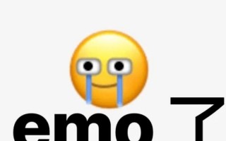 EMO *** 用语啥意思