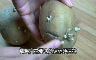 发芽的土豆怎么处理可以吃