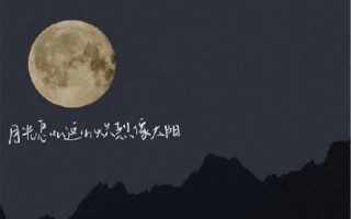 今晚的月色真美下一句怎么接