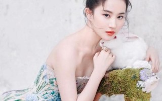 刘亦菲改国籍遭拒绝