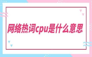 CPU是什么意思 *** 热词