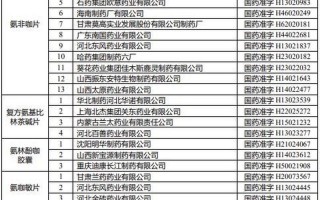 国家药监局药品查询
