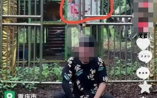 重庆废弃红太阳幼儿园事件