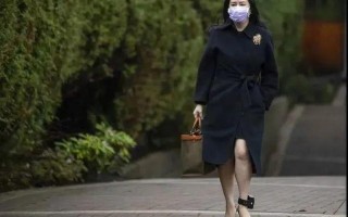 孟晚舟是什么人在哪里犯了什么事