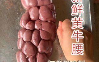 一个腰子能卖多少钱