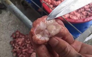 淋巴肉吃了会怎么样