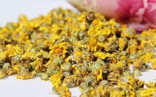 野菊花的功效与作用及食用 *** 