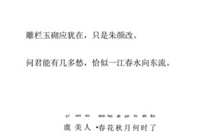 春花秋月何时了词牌