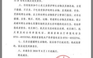 国家禁止过洋节的通知