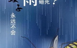 为什么下雨天蚊子不会被雨滴砸死