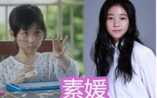 素媛是真实案件吗? 素媛是真实事件吗