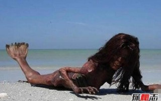 世界上最后一条美人鱼