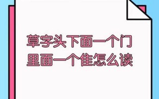 一个草字头一个内