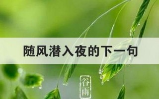 随风潜入夜的下一句