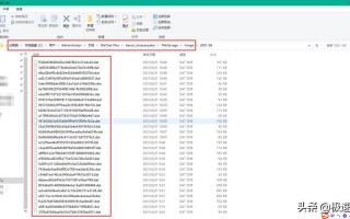 dat是什么文件格式