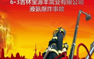 吉林宝源丰禽业公司