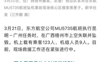 东航坠毁飞机最新消息