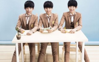 tfboys的青春修炼手册什么意思